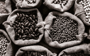 visuels-webinar-food-replay